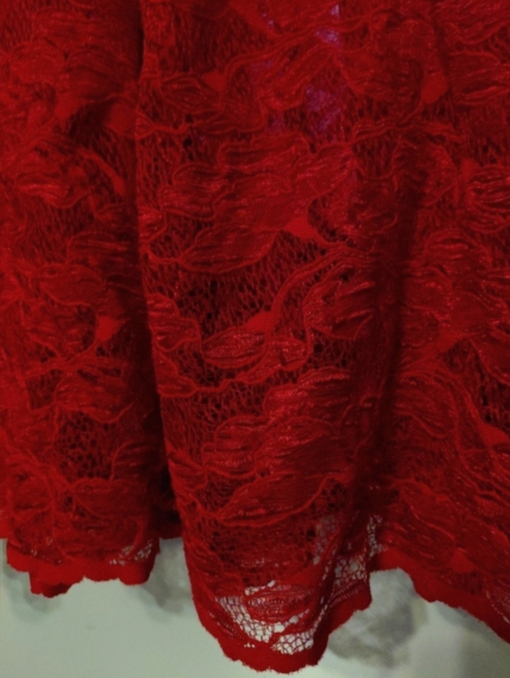 Vintage Sheer Red Lace Skirt Small EXTRA LONG Maxi Koala Blue 1990 RARE - Picture 2 of 10